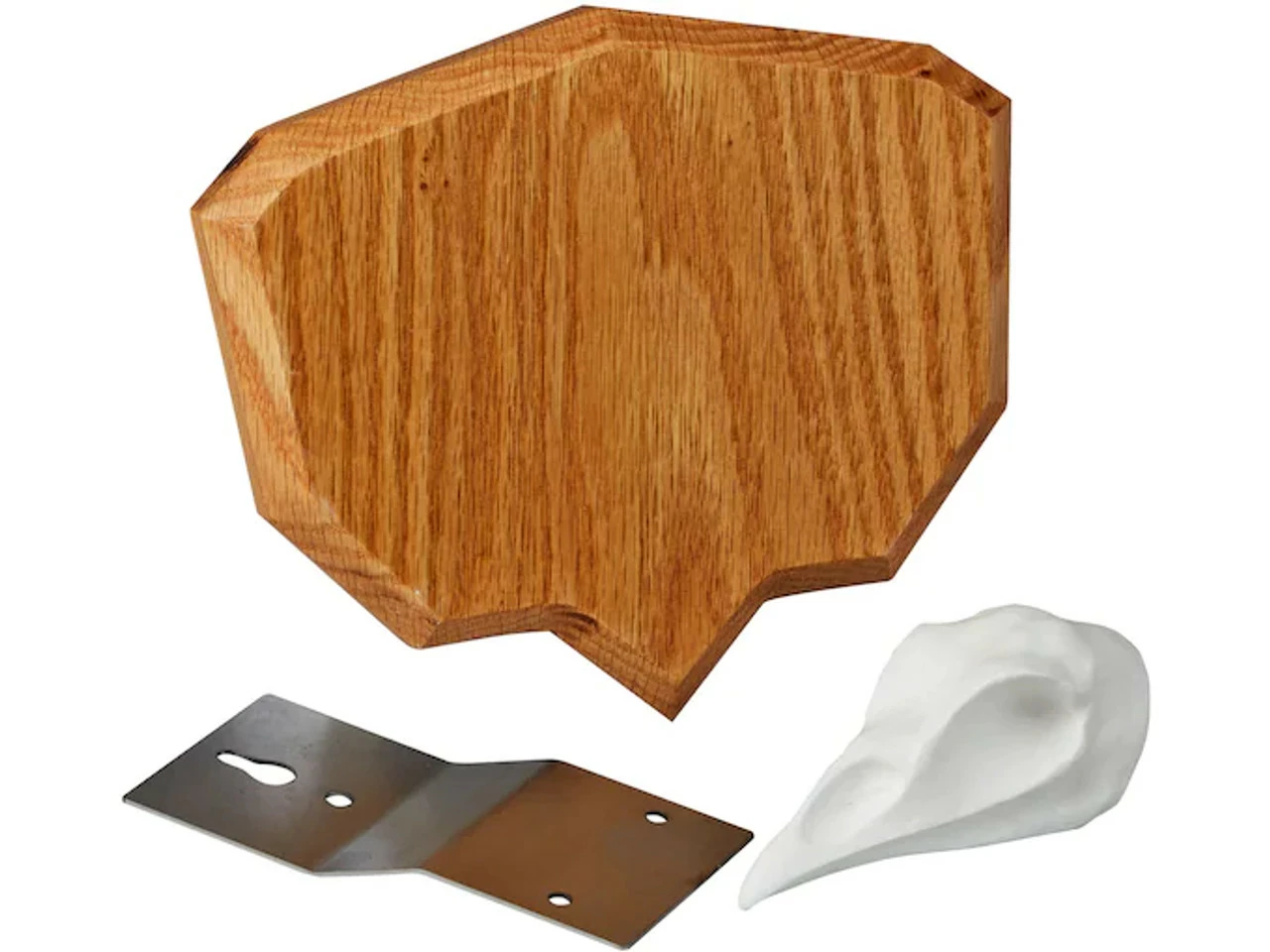 Promo π Hunter Specialties Hunter's Specialties Strut Single Fan Turkey Mounting Plaque π₯° 3 Promo π Hunter Specialties Hunter's Specialties Strut Single Fan Turkey Mounting Plaque π₯°