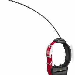 Cheap ⌛ Garmin TT15X GPS Collar 🤩