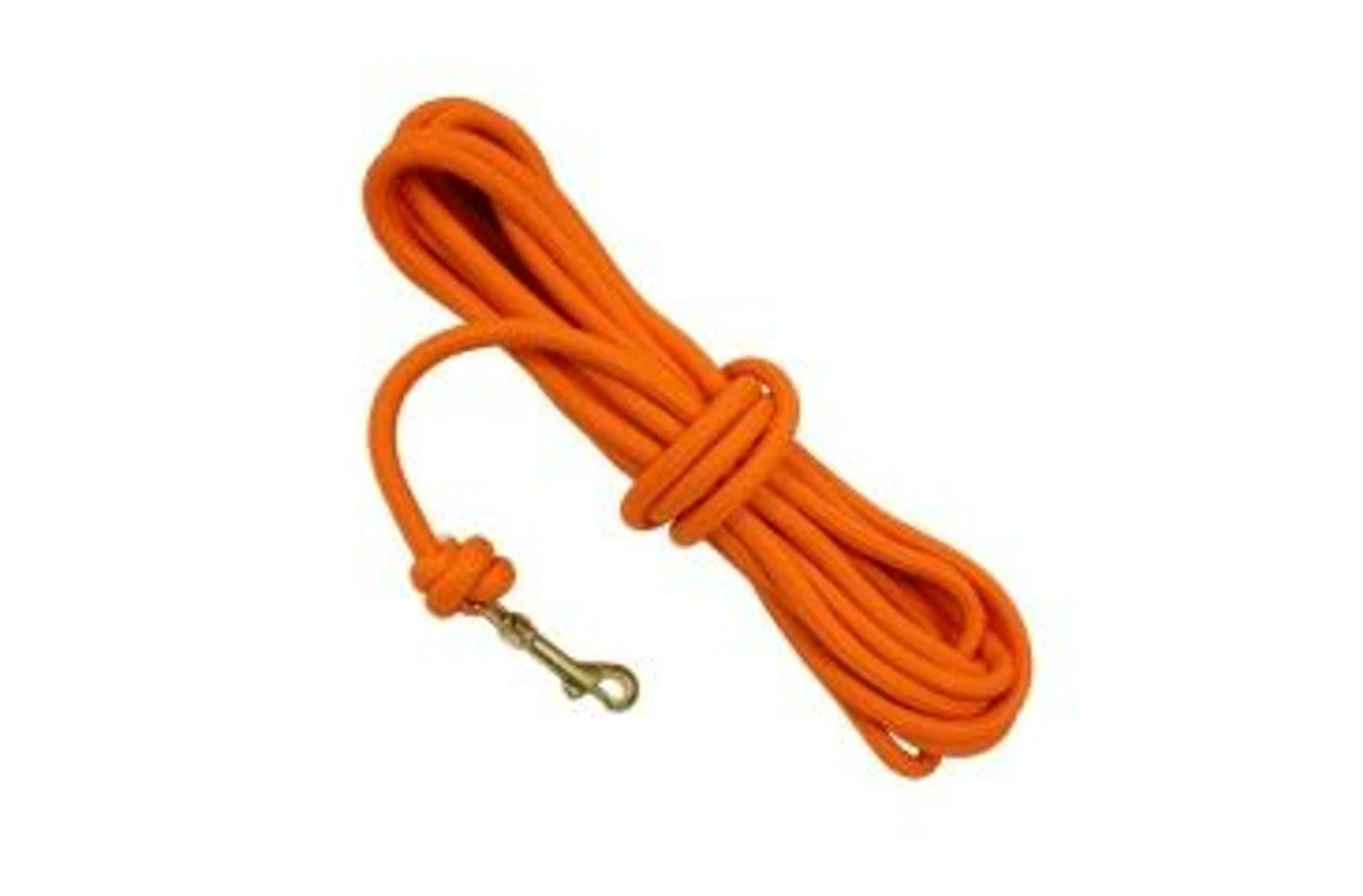 Flash Sale 𧨠D. T. Systems D.T. Systems 3/8" Blaze Orange Check Cord 30 Foot π 3 Flash Sale 𧨠D. T. Systems D.T. Systems 3/8" Blaze Orange Check Cord 30 Foot π
