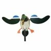 Hot Sale 😉 Mojo Outdoors / Huntwise Mojo Baby Mojo Mallard Drake Spinning Wing Motion Decoy 🤩