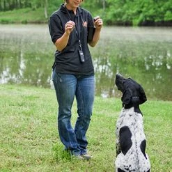 Best reviews of ๐ฏ D. T. Systems D.T. Systems IDT-Plus Micro ๐ฆฎ Dog Trainer โญ 12 Best reviews of ๐ฏ D. T. Systems D.T. Systems IDT-Plus Micro ๐ฆฎ Dog Trainer โญ -Sitka SHOP idt 5 11293.1656511321