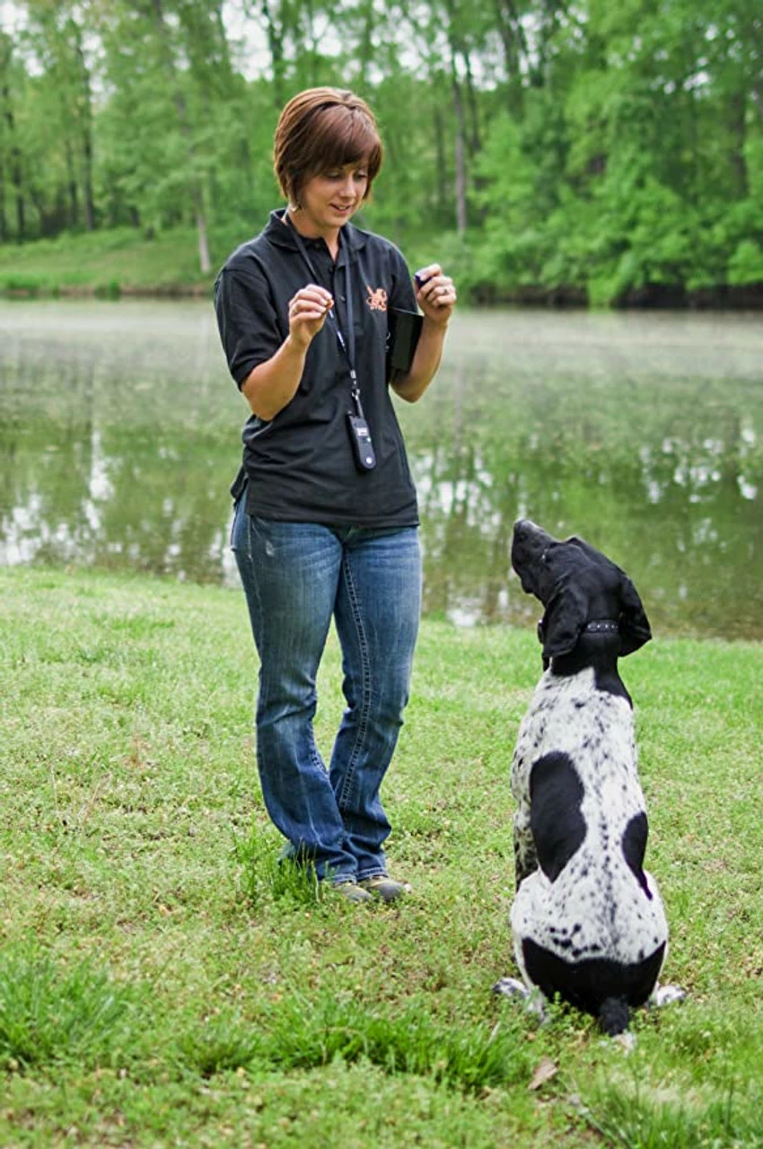 Best reviews of ๐ฏ D. T. Systems D.T. Systems IDT-Plus Micro ๐ฆฎ Dog Trainer โญ 7 Best reviews of ๐ฏ D. T. Systems D.T. Systems IDT-Plus Micro ๐ฆฎ Dog Trainer โญ - Image 5