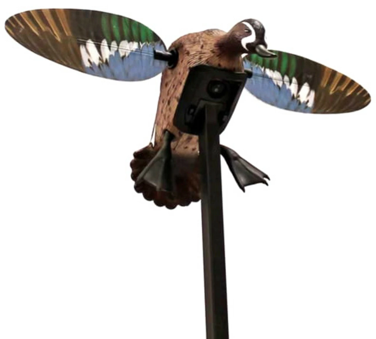 Flash Sale π₯ Mojo Outdoors / Huntwise Mojo Outdoors Elite Series - Blue Wing Teal (Remote Ready) π 3 Flash Sale π₯ Mojo Outdoors / Huntwise Mojo Outdoors Elite Series - Blue Wing Teal (Remote Ready) π