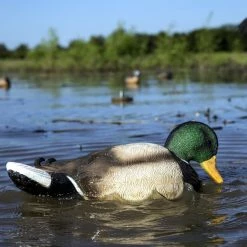 Coupon 🤩 Mojo Outdoors / Huntwise Mojo Outdoors Rippler ✔️